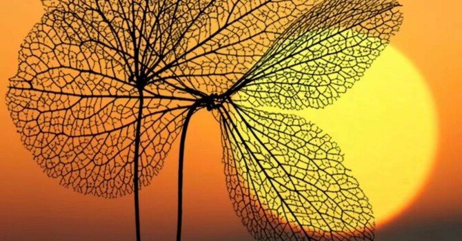 尋求神引導的禱告 - 亞伯拉罕僕人的呼求