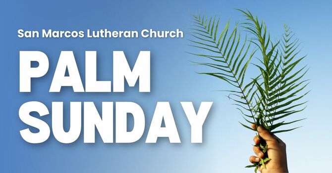 Liturgy of the Palms and the Passion