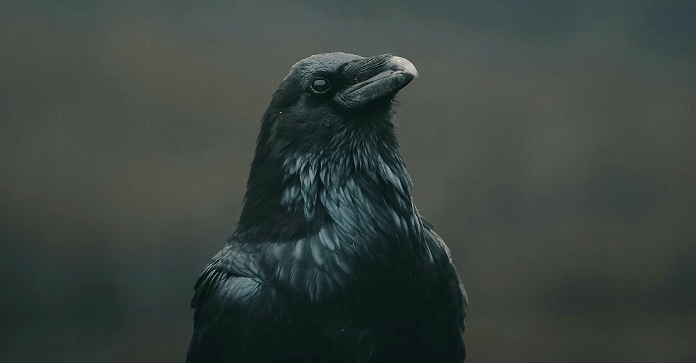 The Fifth Sunday in Lent - March 22, 2026