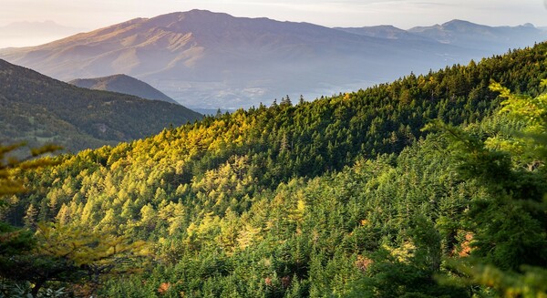 From the Green Team: Speaker Series at St Mary's Anglican Church