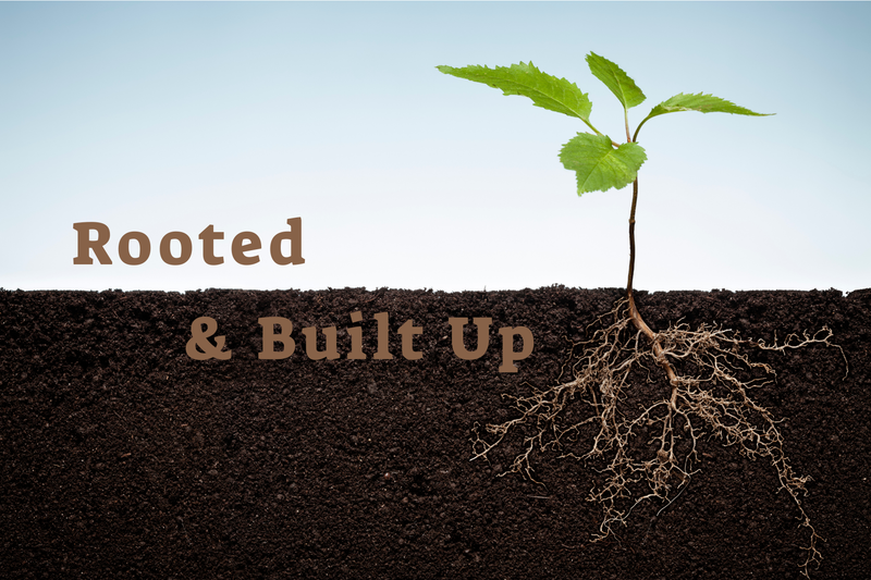 The Mission and the Team: Colossians 4:2-18