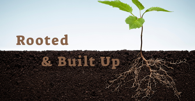 The Mission and the Team: Colossians 4:2-18