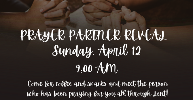 Prayer Partner Reveal