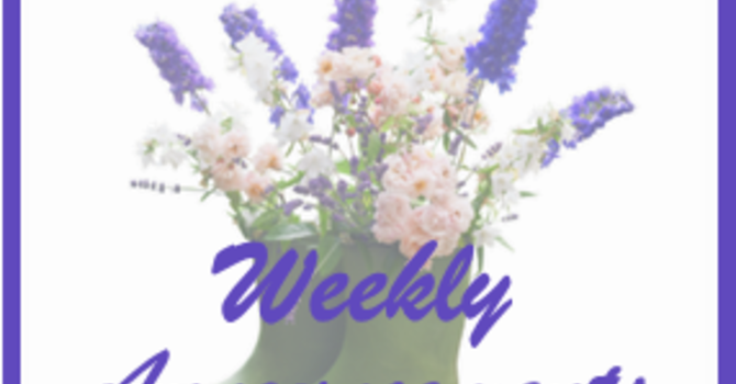 Weekly Announcements