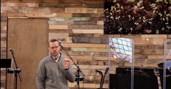 Being Made New in the Kingdom of God