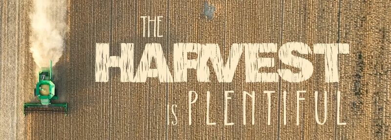 “See, here is water! What prevents me from being baptized?”