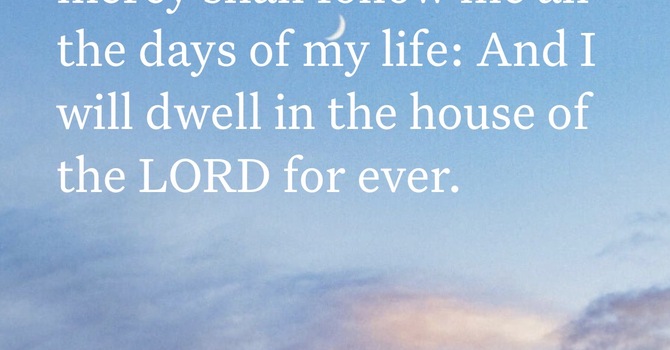 The Shepherds Promise  image