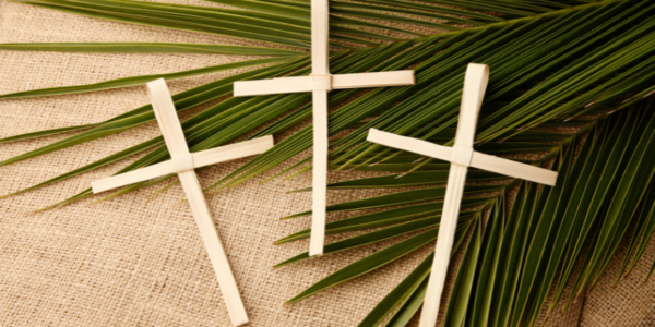 Palm Cross Making