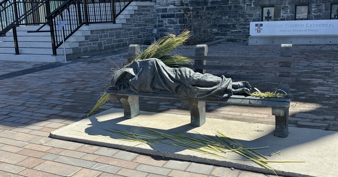 Palm Sunday | The Sunday of the Passion