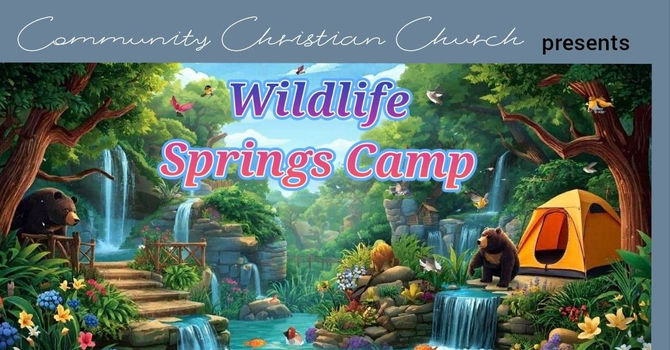 Wildlife Springs Camp