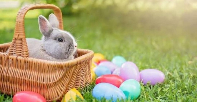 Easter Egg Hunt