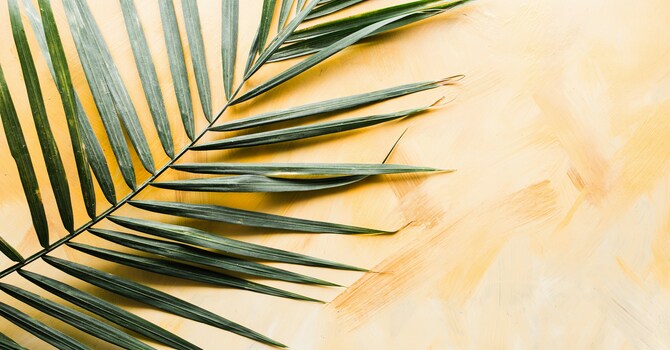 Palm Sunday