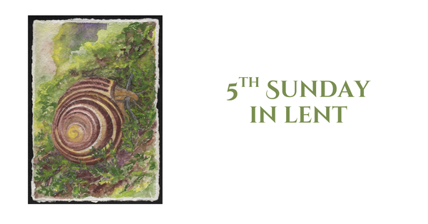 5th  Sunday in Lent