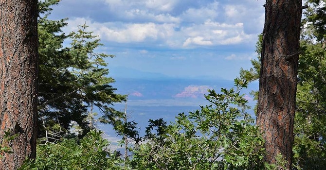 Youth Confirmation Camp