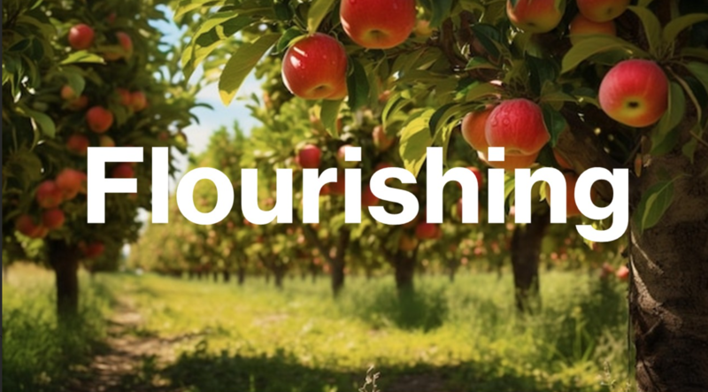 "Flourishing"