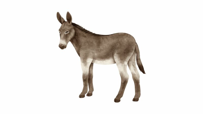  Book of Revelation Episode 14 Chapter 7