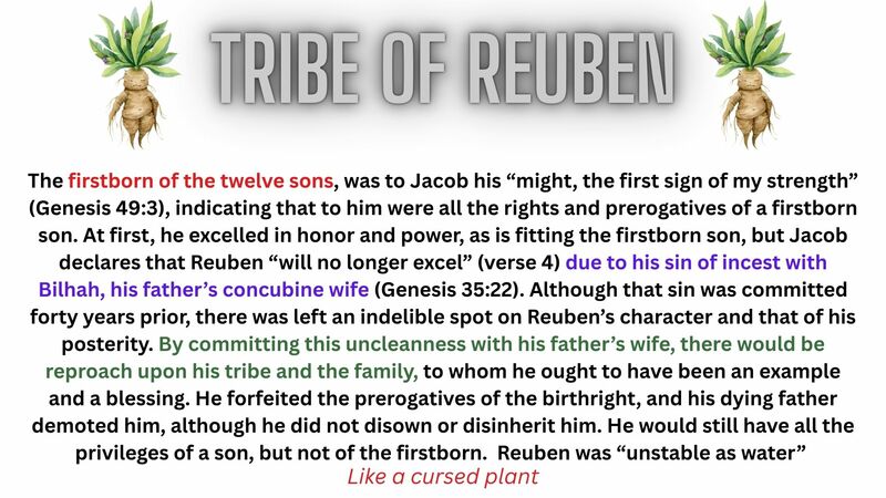  Book of Revelation Episode 14 Chapter 7