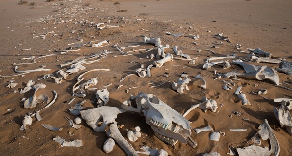 March 22 Worship Services