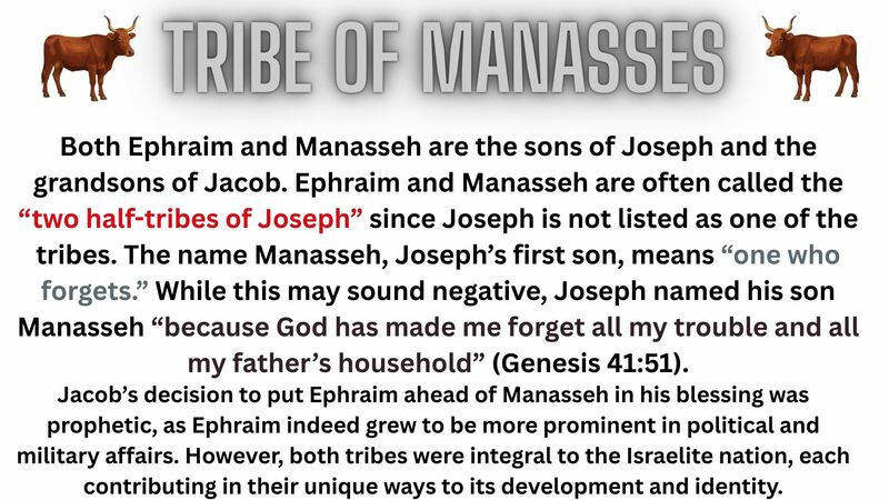 Book of Revelation Episode 15 - Chapter 7