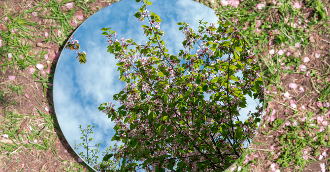 Mirrors of the Sacred