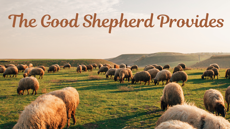 The Good Shepherd Provides