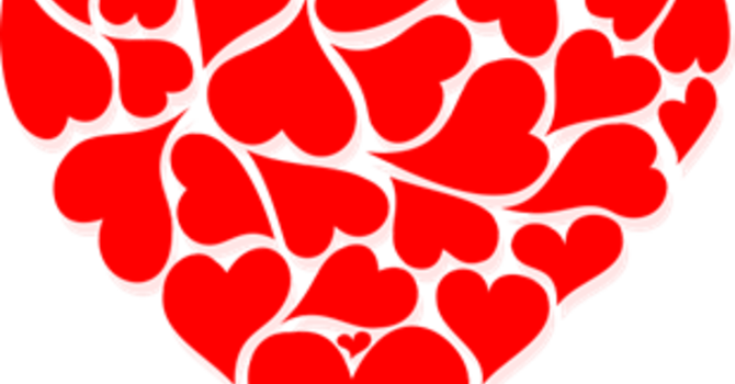 Nest A Home Drop-Off Day