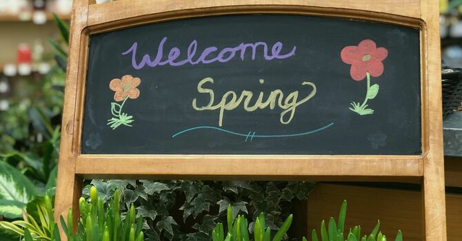 Ghost Pine Community Spring Potluck