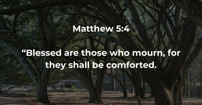 Matthew 5:4 image