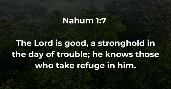 Nahum 1:7 image