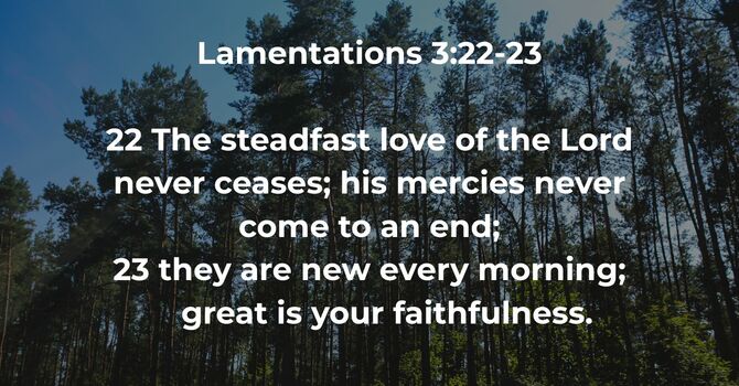 Lamentations 3:22-23 image
