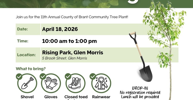 Let’s Get Growing Glen Morris!