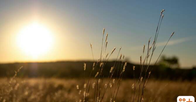 Worship: "Life of Ages, Richly Poured..."