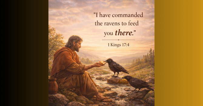 Provision Lives in the Place Called There! image