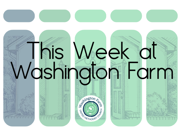 This Week at Washington Farm
