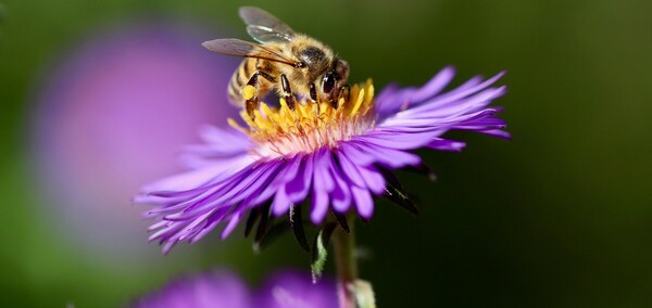 The week of March 22, 2026