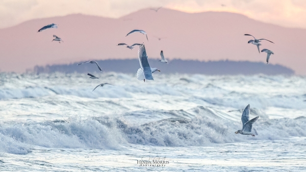 Lenten Litany of Fasting and Feasting