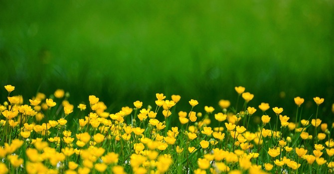 March 21, 2026 Devotion image