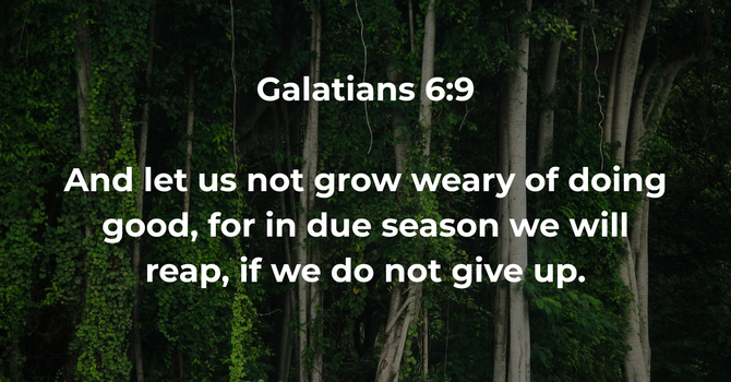 Galatians 6:9 image