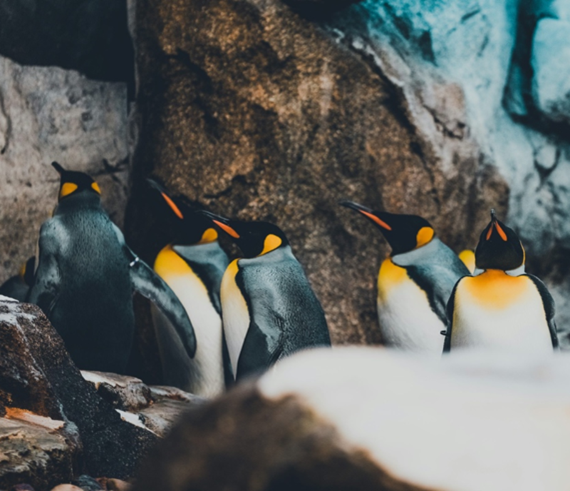 Rev. Karen's Reflection for March 22nd, 2026