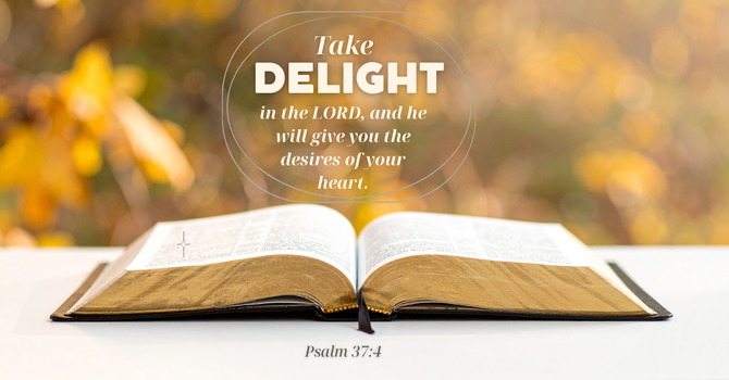 A Delight that NEVER Should Fade!