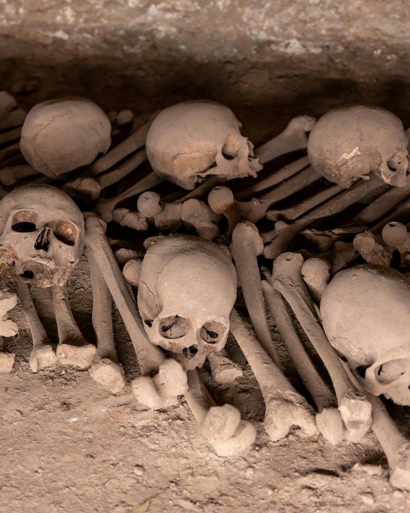 Can these Bones Live?