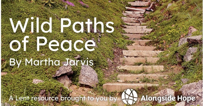 Wild Paths of Peace