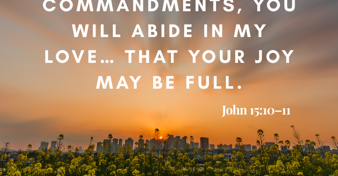 Obedience Before Overflow image