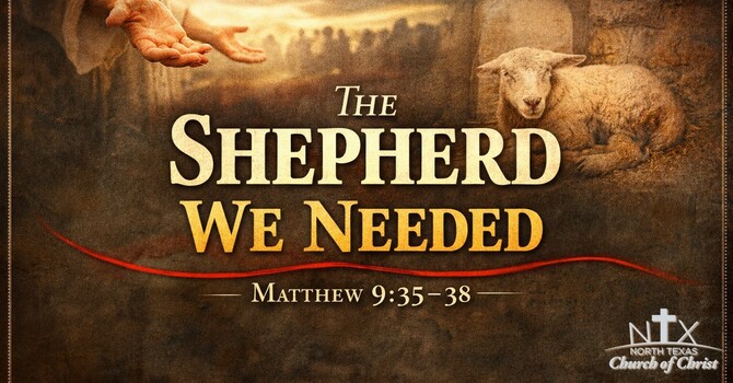 The Shepherd We Needed