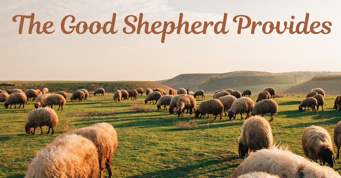 The Good Shepherd Provides