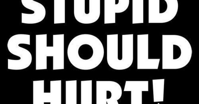 "Stupid Should Hurt"