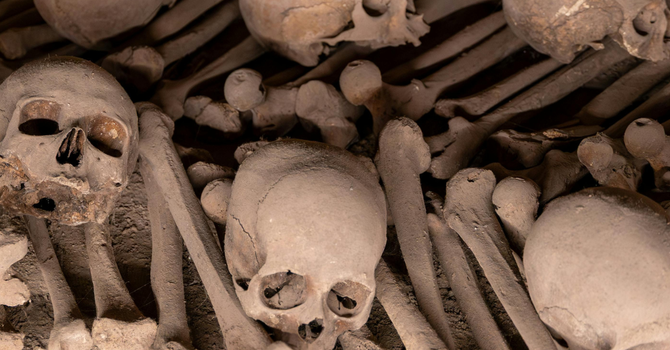 Can these Bones Live?