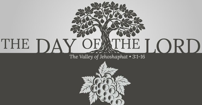 Joel: The Valley of Decision image