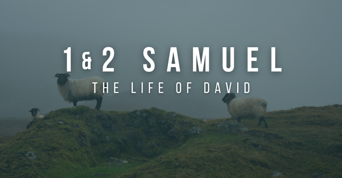 David's Sinful Census