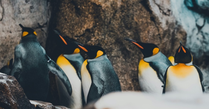 Rev. Karen's Reflection for March 22nd, 2026